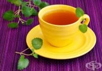 ������������ ��� �� �������� ��� �������� � ����������� �����