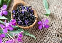 ������������ ��� �� �������� ��� �������� � ����������