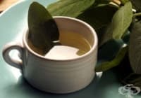 ������������ ��������� ��� ����� �������� �� �����