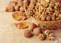 ������������ ����� ������ ����� �����