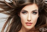 ��� �� ��������� ����������������� �� ������ �� ����� �� �����