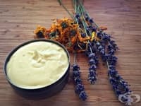 ��������� �� ������ ������ �� �����, ������ ����� � �������� �����