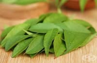 ���������� ������� � �������� � ����� �� ���� � ��������