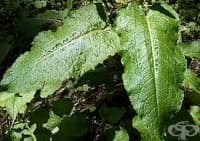 ��������� ������� ��� �������� �� ������� � ����� 