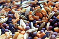 Лекувайте се със семена