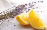 ��������� �� ����� � �����, ������ � ���������, �� �� ����������� ���������� ��� ������ � ������