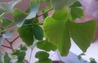 ����������� ������� ���������� � ����� ������