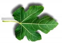 ����������� ������ �� ��������� ����� ������ ���������