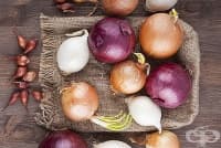 ��������� ���������� � �����, ��� � ��� ������ �����