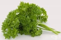 ����� �������� ����, ��������� � ������ ����� �� ��������