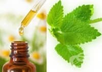 Мажете се с тинктура от маточина при главоболие, херпес и гъбички по краката