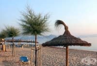 �������� �������� � ������ ����� 