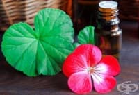 ��� �� �� ���������� ����� �� ������� � ������� �������?  