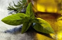 ��������� �� �������� ����� ������ � ����� �� �����