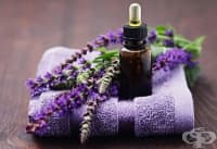 ��������� ������ � �������� ����� �� ������