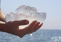 ��� �������� �� ������ ����������� ����, ��� � ����