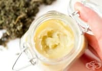 ��������� ���������������� ������� � ������� ������