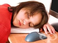 Мента, шипка и борови връхчета срещу отслабване на организма