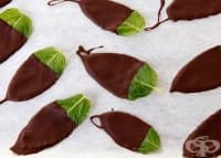 ��������� �������� �� ��� ������������ ��������� �� ����� � ����� �������