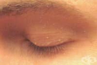 ���������� ��������� �� ������ ��� ����� �� �����, ������ � �����