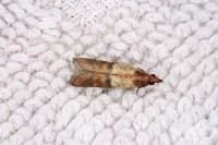 ��������� ������� � ��������� 6 ������