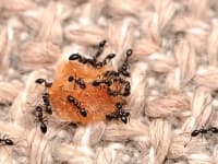 �������� �������� �� ���� �� � ��������� ��������