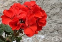 ��������� ������ �� ������ �� � ����� �� �������   