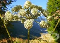 �� ������ � ���� ������ �������� �� ��������, �� �� �� ���������� ���� �����