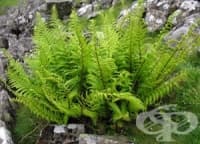 �������� �� �������� �����, �� �� �� �������� �� ��������