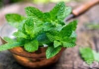 �������� ����� ����� ������� ������� ��� �����