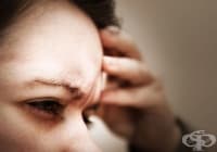 �������� ������ ���� 14 ����� ������