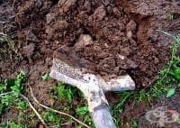 ��� �� �������� ������������ �� ���������� ����� ���� ��� �����?