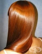 ��������� ������ �� ���� � ������ ���� � ���� ��� ����