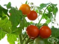 ��������� �� ��������� ������� ��� �� ����������� �� ��������