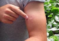 ��������� �� ��������� �������� �� ������ �� ��������