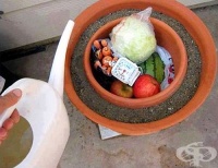 ��������� �� �������� ���������, ����� ������ ������ ��� ���