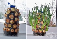 ��������� �� ���� ����� ��� � �������