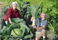 ��������� �� ���� ����� ������� ��� � ���������� �� ������ �� �����������