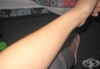 ��������� �� �������� � �������, ����� �� �� ����� �� ������ ��������