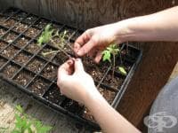 ��������� �� ������ ������ �� ������ �� ����������� �������