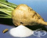 ��������� �� ����� �� ������ � ������� �������