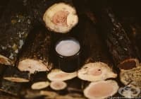 ��������� �� �������� ���� �� �����, ����� � �������