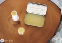 ��������� �� ������ �� ����� �� ���, �������� ����� � ������ �����