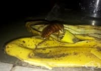 ��������� �� ��������� ����� �� �������� �� ������� � �������� ����