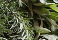 ��������� �� ������������� ���� �� ����� �� �������� � ��������� ���