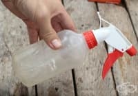 ��������� �� ���������� ������������ �� �������� ����� � ���� 