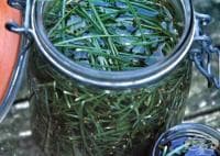 ��������� �� ���������� �������� �� ������ ������� �� ���������� �� ����