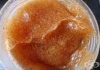 ��������� �� ���������� �� ���� �� ��� � ������ ����