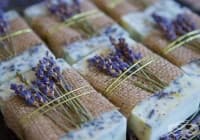 ��������� �� ���������� ����� �� ���, ����� � ���������