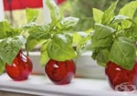 ��������� �� ��������� ����� �� ���� �� �������